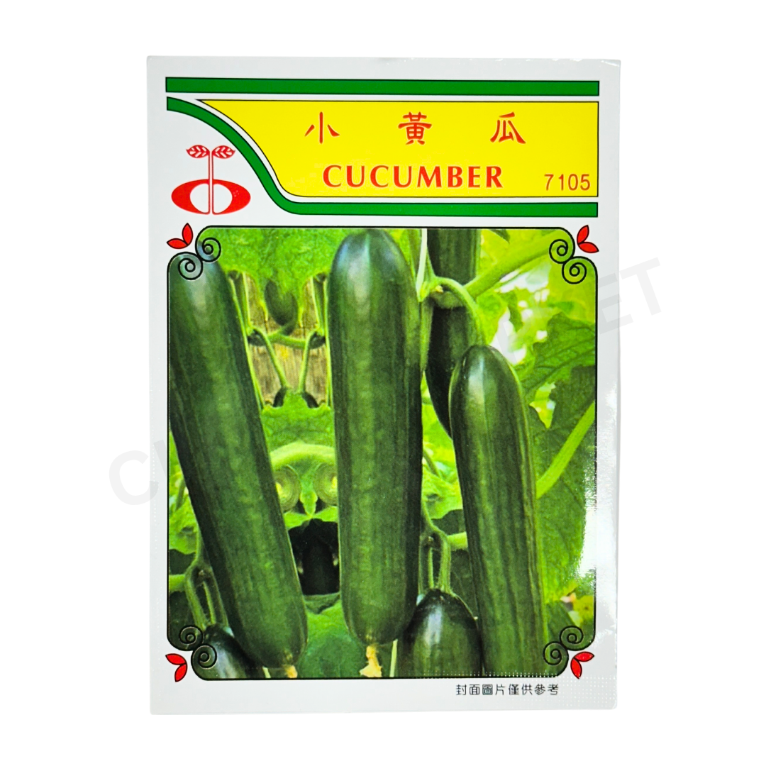 MINARA Vegetable Seed – Cucumber No. 7105