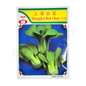 MINARA Vegetable Seed – Shanghai Bok Choy No. 1110