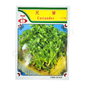 MINARA Vegetable Seed – Coriander No. 1116